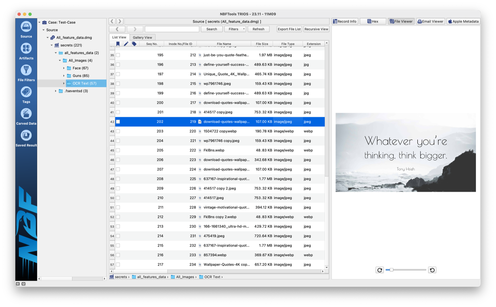 Case explorer and file viewer